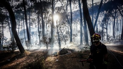 700 turystów ewakuowanych na Sycylii z powodu pożaru