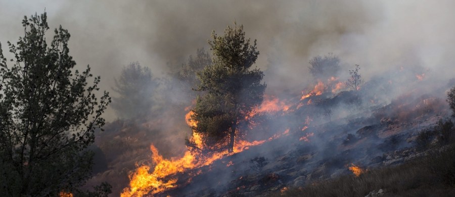 Strażacy walczyli z dużymi pożarami lasów na wybrzeżach Adriatyku w Chorwacji i Czarnogórze. Niektórzy mieszkańcy musieli opuścić swoje domy - poinformowały lokalne media. Akcję gaśniczą utrudniał silny wiatr. 