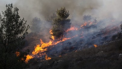 Pożary lasów w Chorwacji i Czarnogórze. Ewakuowano niektórych mieszkańców