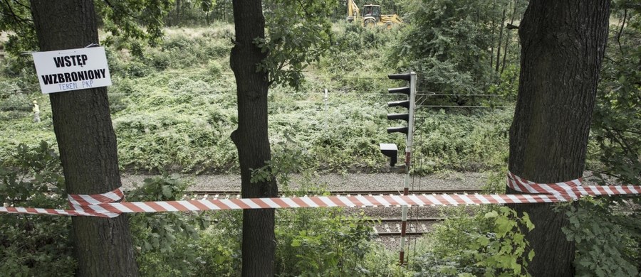 ​Jest anomalia, będą kolejne badania. W czwartek specjaliści wrócą na skarpę kolejową na 65. kilometrze trasy kolejowej z Wrocławia do Wałbrzycha. To tam ma być ukryty złoty pociąg. Wybrane miejsce ponownie zostanie zbadane za pomocą sprzętu elektronicznego.
