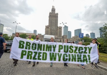 Co dzieje się w Puszczy Białowieskiej? Trwa tam "eksperyment porównawczy" 