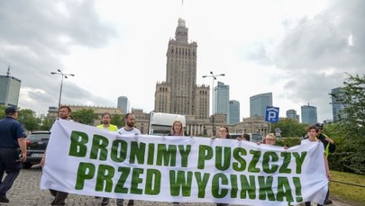 Co dzieje się w Puszczy Białowieskiej? Trwa tam "eksperyment porównawczy" 