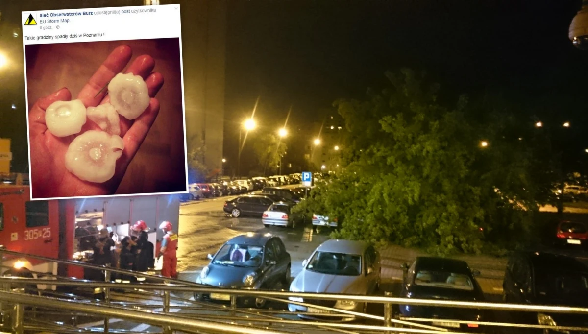 Ponad 600 razy interweniowali strażacy w Wielkopolsce, Kujawsko-Pomorskiem oraz na Warmii i Mazurach po nocnych nawałnicach, które przetoczyły się przede wszystkim nad zachodnią i centralną Polską. Najwięcej wezwań dotyczyło usuwania z dróg powalonych drzew i połamanych konarów, a także uszkodzonych czy podtopionych domów. Nawałnice poprzewracały również słupy energetyczne: w efekcie w samej Wielkopolsce prądu nie miało o poranku ponad 23 tysiące odbiorców. W trzech wspomnianych regionach trwa liczenie strat.