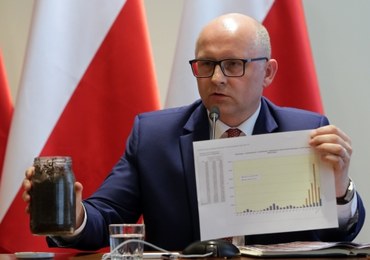 Nawet kilkadziesiąt tysięcy euro kary dziennie za wycinkę w Puszczy Białowieskiej? 