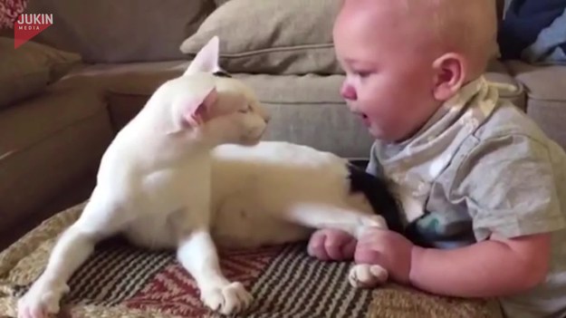 Urocze dziecko i kociak uwielbiają siebie nawzajem. 
