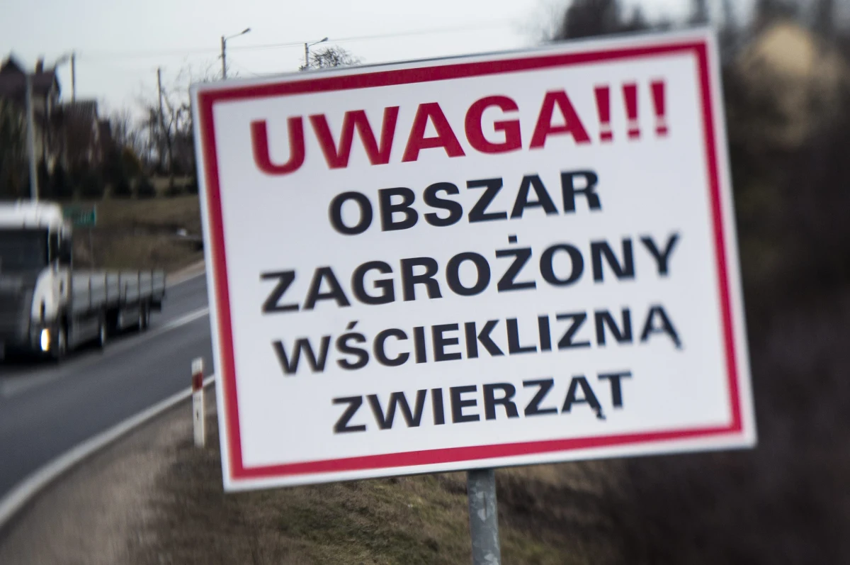 Powiatowy Lekarz Weterynarii wyznaczył w Cieszynie obszar, który zagrożony jest wścieklizną. Powodem takiej decyzji jest znalezienie martwego, chorego nietoperza.