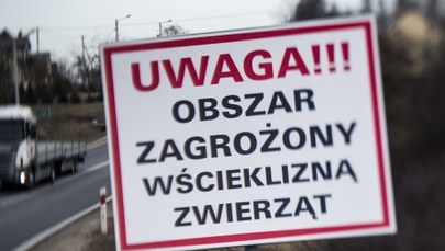 ​Wścieklizna w Cieszynie. Wyznaczono obszar zagrożenia