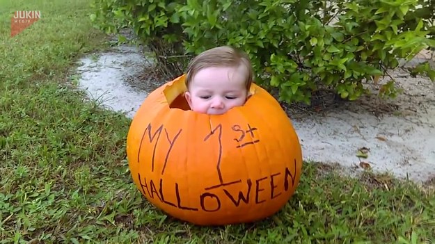Ten maluch w uroczy sposób postanowił obchodzić swoje pierwsze Halloween - siedzi w środku wielkiej dyni. 