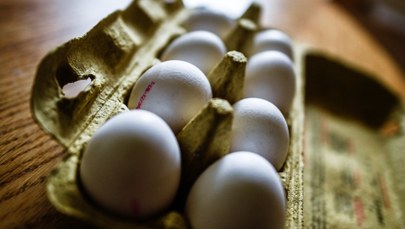 Skażone jaja w krajach Unii: Nie ma sygnałów, by trafiły do Polski. Ale...