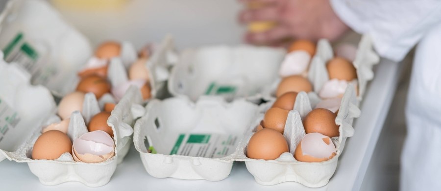 W Unii Europejskiej nasila się skandal wokół jaj skażonych Fipronilem - zakazanym środkiem owadobójczym. Okazało się, że przedsiębiorstwa we Francji wykorzystały kilkadziesiąt tysięcy skażonych jaj, które zostały sprowadzone z Holandii, do produkcji m.in. wyrobów cukierniczych.