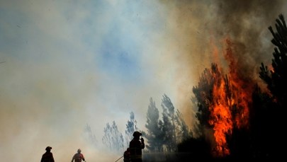 Ponad połowa lasów w Polsce jest zagrożona pożarem. Może być gorzej...