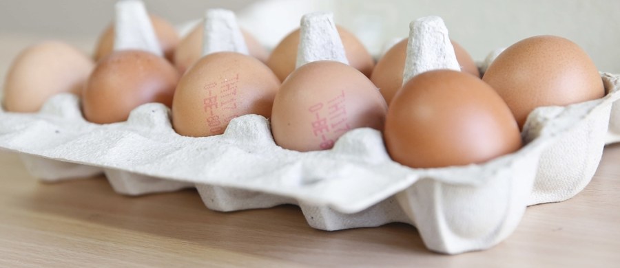 Jak donosi Główny Inspektorat Sanitarny, w Polsce pojawiły się jaja skażone fipronilem. Przetworzone trafiły z Holandii do Polski. Co to jest fipronil i czym może grozić kontakt z tą substancją?