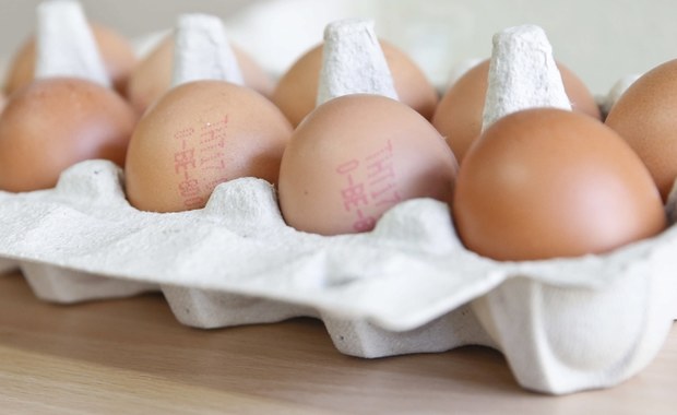 Jak donosi Główny Inspektorat Sanitarny, w Polsce pojawiły się jaja skażone fipronilem. Przetworzone trafiły z Holandii do Polski. Co to jest fipronil i czym może grozić kontakt z tą substancją?