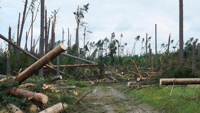 Do Łodzi wróciła większość harcerzy ze zniszczonego przez nawałnicę obozu w Suszku