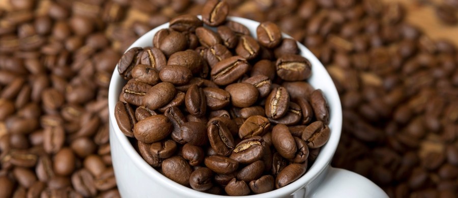 Osoby regularnie pijące kawę o 40 proc. rzadziej zapadają na raka wątroby – wynika z najnowszej metaanalizy przeprowadzonej przez włoskich naukowców z uniwersytetu w Mediolanie. Metaanaliza obejmowała wyniki 16 badań, w których udział wzięło łącznie 3153 chorych na raka wątroby. 