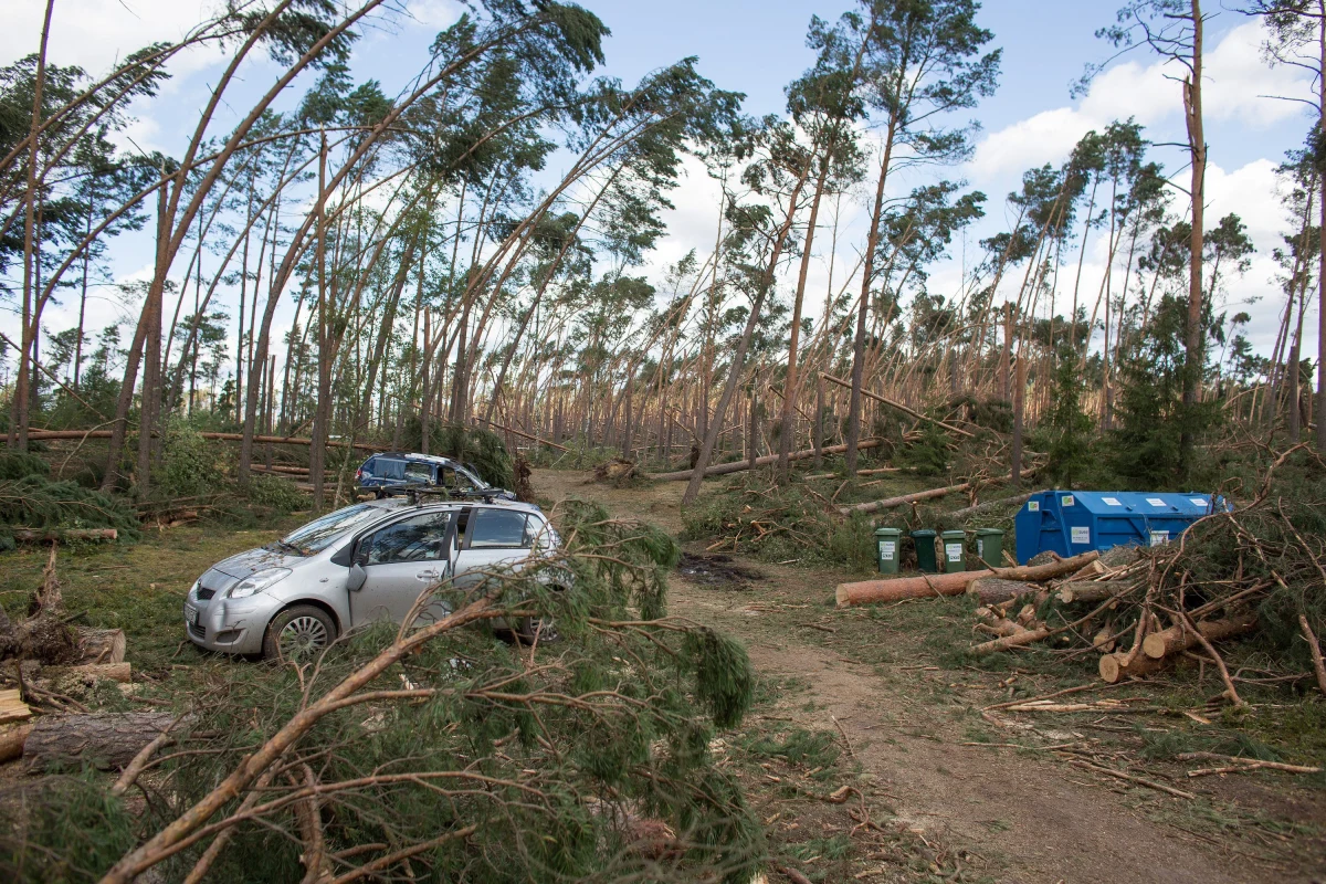 Ponad 6 tys. rodzin poszkodowanych w nawałnicach, które w ostatnich dniach przeszły nad Polską, otrzyma w sumie prawie 31 mln zł. Taką informację podał resort spraw wewnętrznych i administracji.