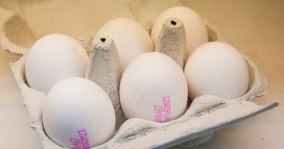 Produkty jajeczne skażone fipronilem wykryto w Austrii - poinformowała austriacka Agencja Zdrowia i Bezpieczeństwa Żywności (AGES). Według niej, produkty importowane do hurtowni zaopatrujących restauracje trafiły z Belgii, Holandii, Niemiec, ale też z Polski.