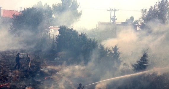 Greccy strażacy walczą z pożarem, który wybuchł w niedzielę na zalesionym terenie w pobliżu Aten. Ogień szybko rozszerzył się w efekcie silnego wiatru, wyrządzając szkody w dziesiątkach domów.