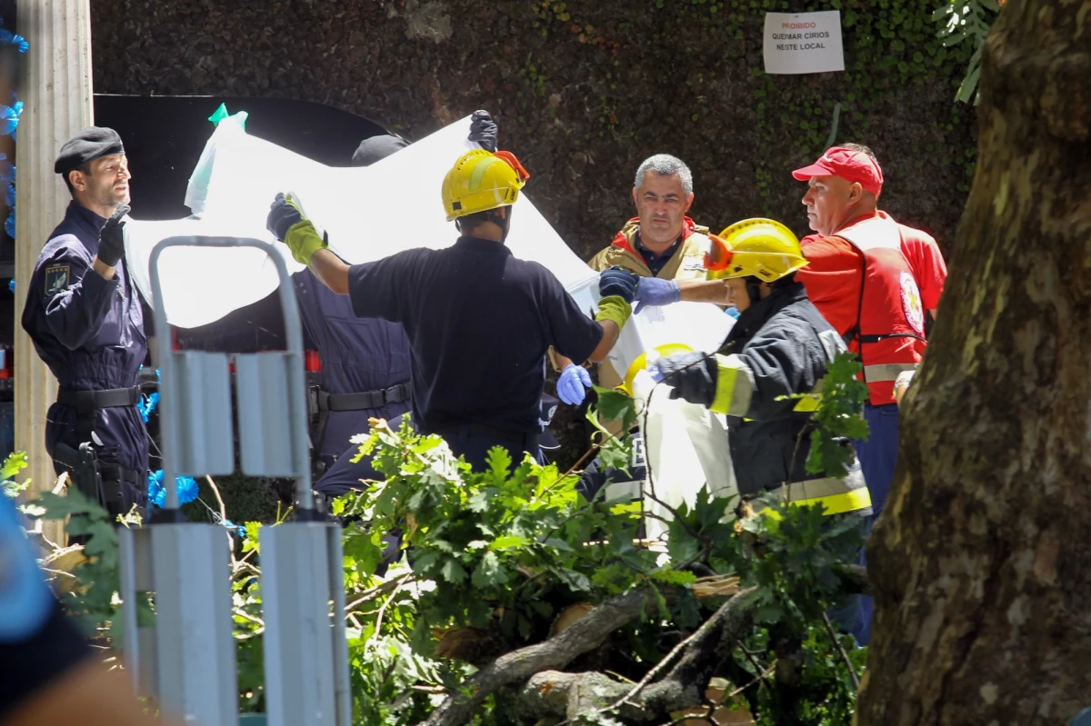 Tragedia na portugalskiej Maderze. Drzewo przygniotło ludzi podczas obchodów religijnych. Zginęło 13 osób, a 52 zostały ranne.