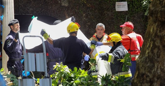 Tragedia na portugalskiej Maderze. Drzewo przygniotło ludzi podczas obchodów religijnych. Zginęło 13 osób, a 52 zostały ranne.