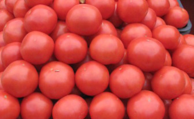 Genetycznie zmodyfikowane pomidory mogą pomóc w walce z chorobami układu krążenia. Naukowcy z Uniwersytetu Kalifornijskiego (UCLA) przedstawili podczas sesji American Heart Association w Los Angeles wyniki badań, wskazujące na skuteczność takich pomidorów w obniżaniu u myszy poziomu szkodliwego cholesterolu i łagodzeniu objawów arteriosklerozy.