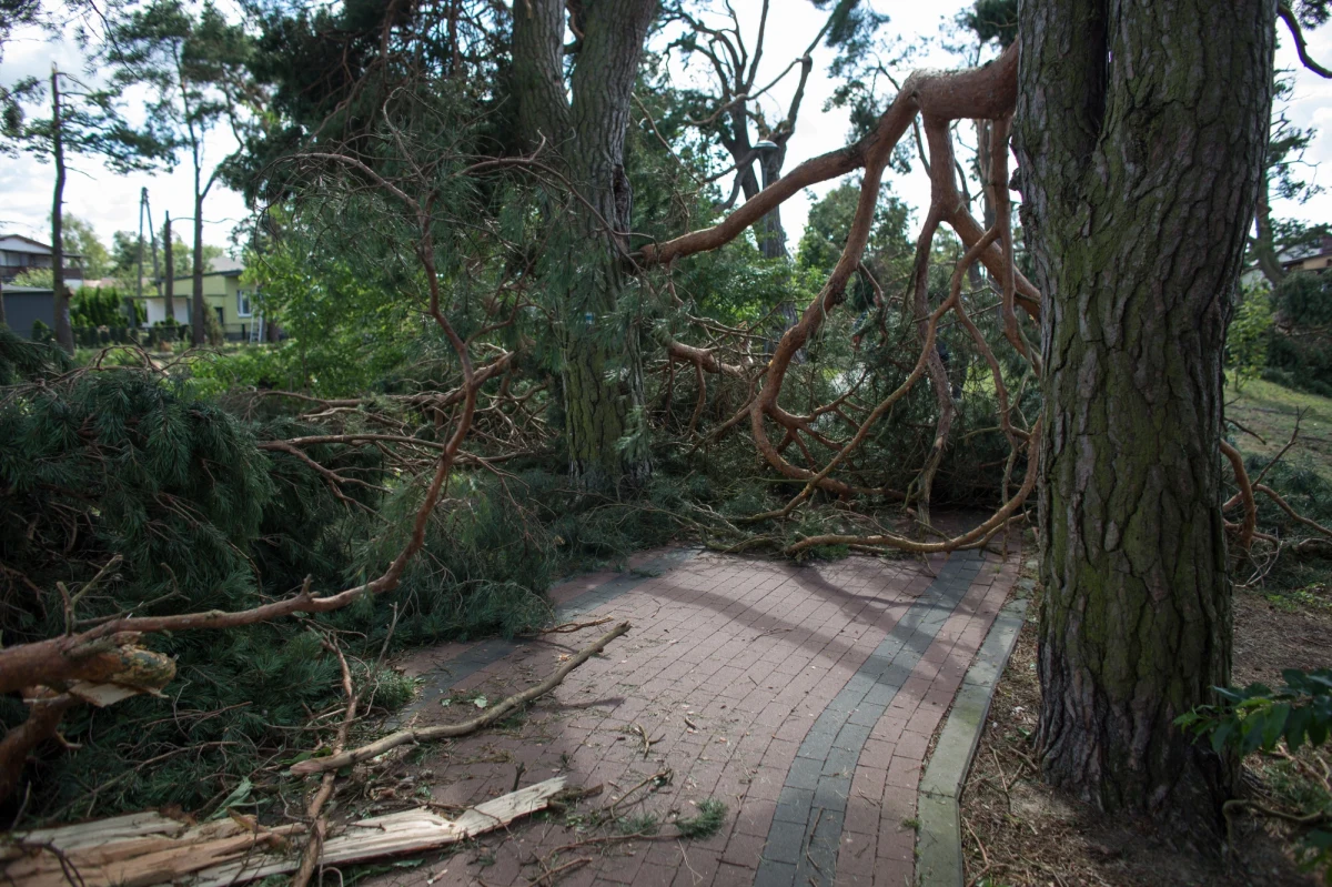 Już piątą dobę strażacy walczą ze skutkami nawałnicy, która przeszła nad Pomorzem. Efekty usuwania zniszczeń są nadal niewielkie w szczególnie dotkniętym przez burzę Rytlu - informuje reporterka RMF FM Aneta Łuczkowska.