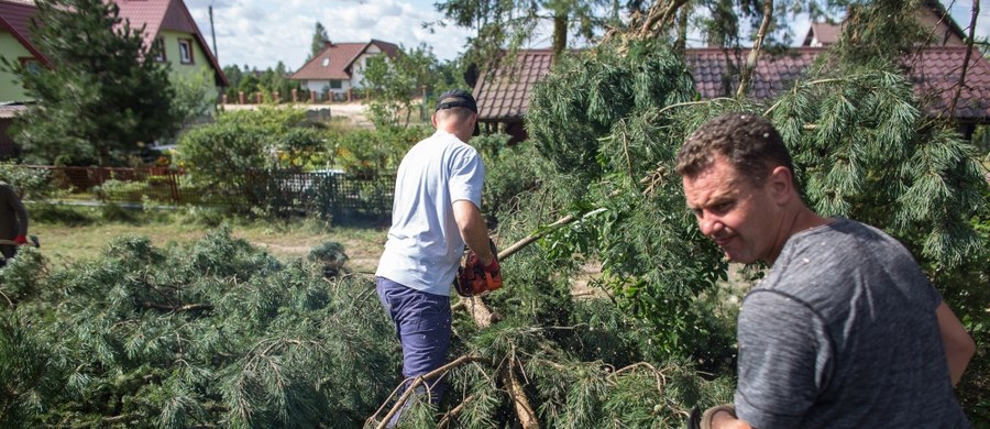 ​Enea Operator przywróciła zasilanie we wsi Rytel w Pomorskiem, w Wielkopolsce zaś prawie wszyscy klienci spółki mają już prąd - poinformowała w komunikacie prasowym grupa Enea.