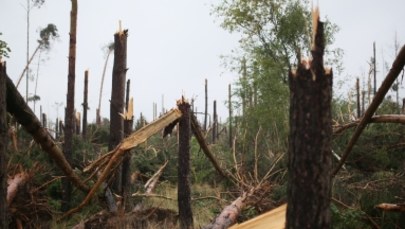 Łódź chce pomóc dwóm sołectwom na Pomorzu, które ucierpiały w wyniku burz