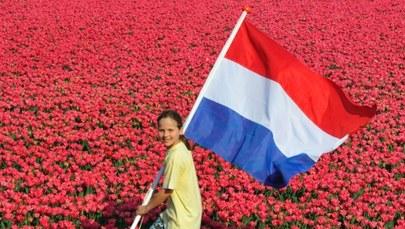Holandia: Rząd ma pomysł na wzmocnienie tożsamości narodowej