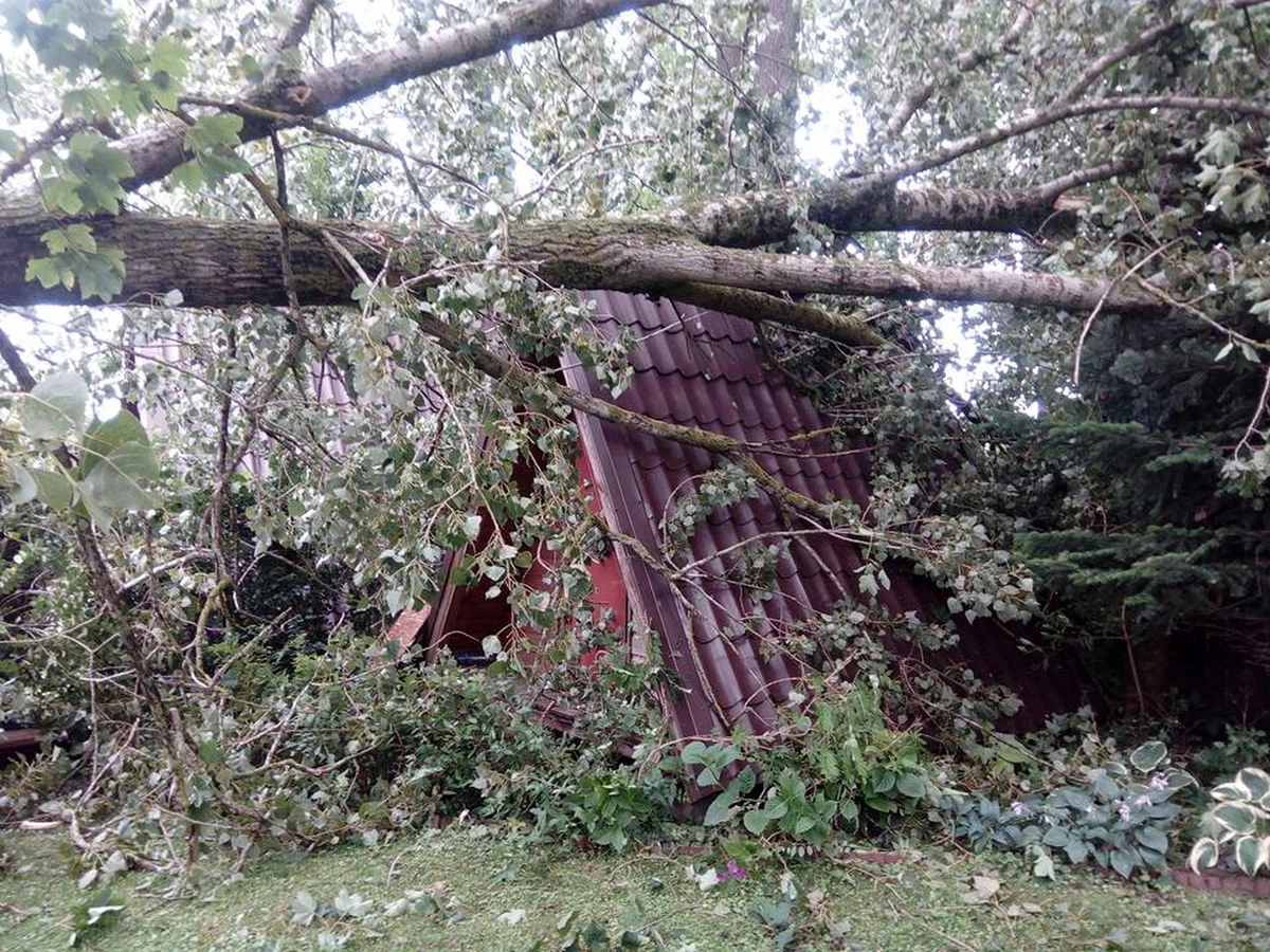 Kilkaset powalonych drzew, zerwany dach, zniszczone domki letniskowe - takie są skutki nawałnicy, która wieczorem przeszła nad powiatem drawskim (woj. zachodniopomorskie). "Świadkowie mówili nam, że nad Jeziorem Drawskim w Czaplinku przeszła trąba powietrzna" - mówi RMF FM Andrzej Podolak, zastępca komendanta powiatowego straży pożarnej w Drawsku Pomorskim.
