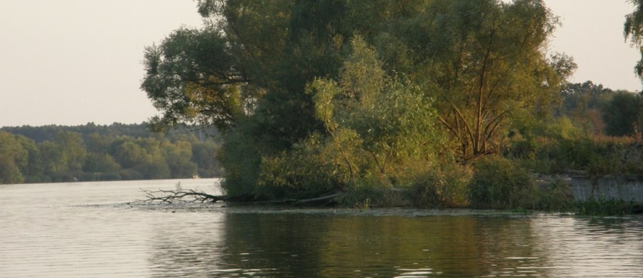 Ciało mężczyzny pływające obok przewróconej łódki zostało wyłowione z rzeki Płoni w zachodniopomorskim Kołbaczu. Na miejscu trwa akcja straży pożarnej i policji. 