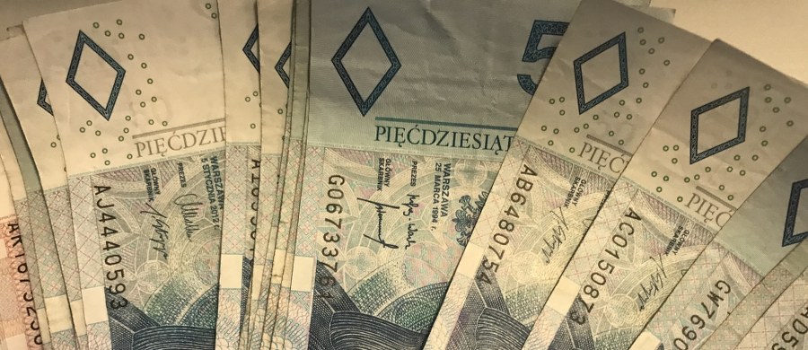 Specjalny zespół śledczy zajmie się wyjaśnianiem sprawy kolejnej piramidy finansowej, która wyłudziła od 700 osób co najmniej 35 mln zł. Prokurator krajowy powołał grupę, która ma prowadzić śledztwo w sprawie firmy Horcus Investment Group S.A. w Warszawie. 