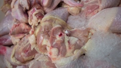 Kurczaki skażone fipronilem trafiły do Polski. Jest potwierdzenie