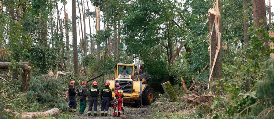 Według aktualnych szacunków Regionalnej Dyrekcji Lasów Państwowych w Gdańsku, na obszarze jej działania nawałnica zniszczyła ponad 10 tys. ha lasu, powalając 30-36 mln drzew.