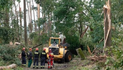 Dyrekcja lasów państwowych w Gdańsku: Skala zniszczeń już teraz jest porażająca 