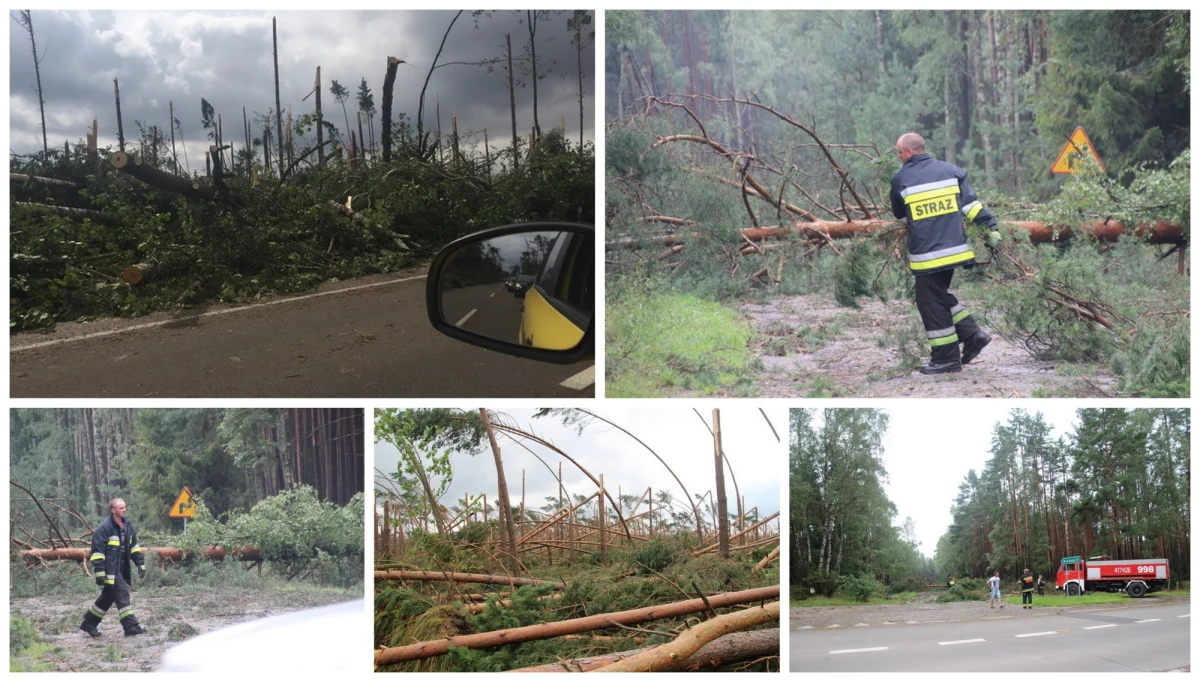 Funkcjonariusz policji sierż. Przemysław Borowicki jako jeden z pierwszych dotarł do obozu harcerskiego w Suszku. W nocy z piątku 11 sierpnia na sobotę 12 sierpnia - w wyniku gwałtownych burz i wiatrów, które przeszły nad Pomorzem - obóz został zniszczony i odcięty od świata przez tarasujące drogi drzewa. W wyniku nawałnicy zginęły dwie harcerki w wieku 13 i 14 lat. 38 innych uczestników obozu trafiło do szpitali z różnymi obrażeniami. Dziś sierż. Borowicki wspomina, że dotarcie do dzieci trwało kilka godzin. Z pomocą ruszyli mieszkańcy okolicznych wsi, strażacy i policjanci. „Wiedzieliśmy jedynie, że wśród nich są osoby ranne i zabite” – relacjonuje.