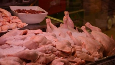 GIS: Ilości fipronilu w skażonych kurczakach nie zagrażają zdrowiu