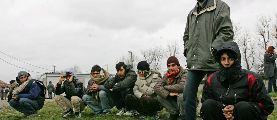 ​Czterech obywateli Iraku zatrzymali 22 sierpnia funkcjonariusze białoruskiej straży granicznej podczas próby nielegalnego przekroczenia granicy z Polską - poinformował białoruski Państwowy Komitet Graniczny.