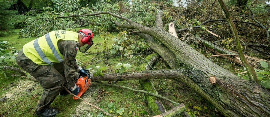 Nawałnice, które przeszły nad Polską w nocy z 11 na 12 sierpnia, uszkodziły w lasach prywatnych ponad 1,3 mln  m sześc. masy drzewnej i spowodowały szkody na powierzchni przekraczającej 20 tys. ha - mówił na posiedzeniu sejmowej komisji wiceminister środowiska Andrzej Szweda-Lewandowski.