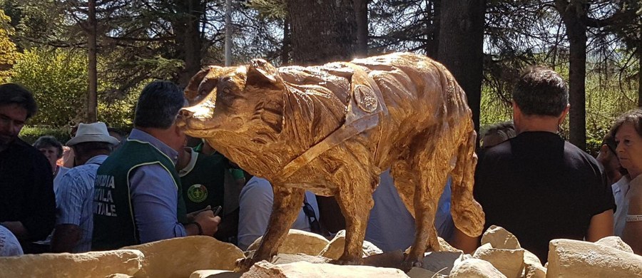 Rok po trzęsieniu ziemi w miasteczku Amatrice w środkowych Włoszech odsłonięty został pomnik psa rasy border collie, który podczas akcji ratunkowej po kataklizmie prowadzonej przez strażaków, pomógł uratować wiele zasypanych osób.