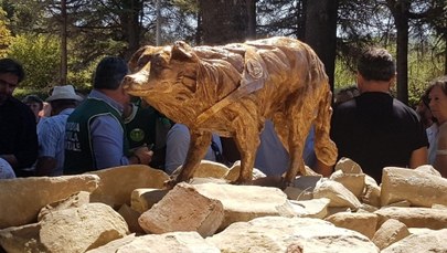 W Amatrice odsłonięto pomnik psa ratownika. "Stanowiła to, co najlepsze we Włoszech"