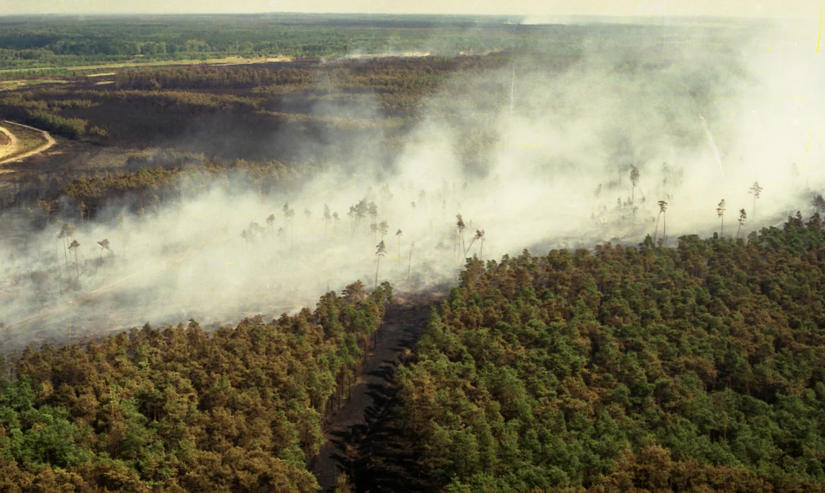 Jeden las zniszczony przez dwa żywioły. W lipcu tego roku nawałnica powaliła prawie 2 tysiące ha lasu w rejonie Kuźni Raciborskiej. To ten sam obszar, gdzie dokładnie 25 lat temu zaczął się największy pożar lasu w Europie. To, czego wtedy nie strawił ogień, teraz powalił wiatr.