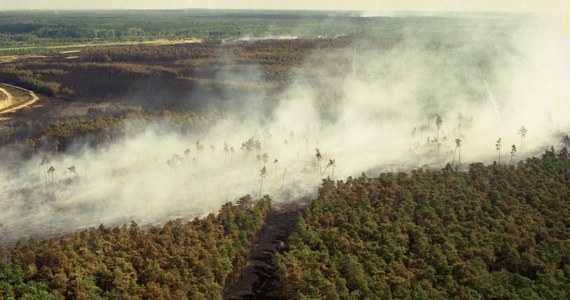Jeden las zniszczony przez dwa żywioły. W lipcu tego roku nawałnica powaliła prawie 2 tysiące ha lasu w rejonie Kuźni Raciborskiej. To ten sam obszar, gdzie dokładnie 25 lat temu zaczął się największy pożar lasu w Europie. To, czego wtedy nie strawił ogień, teraz powalił wiatr.