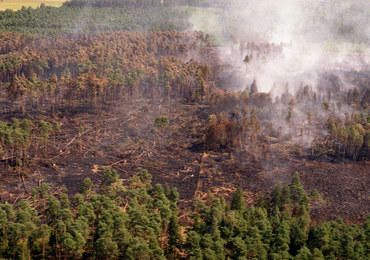 25 lat od największego pożaru lasu w Europie