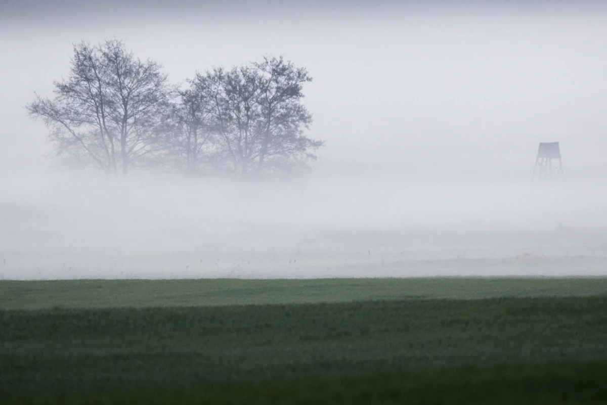 ​Ponad 130 osób trafiło do szpitala z objawami zatrucia chemikaliami w hrabstwie Sussex w Wielkiej Brytanii. Skarżyły się one się na bóle w klatce piersiowej, łzawienie i problemy z oddychaniem. Wiele z nich wymiotowało.