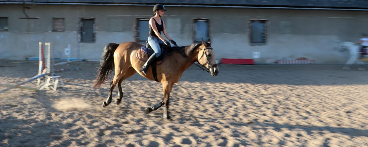 Nie trzeba mieć mnóstwa pieniędzy na elegancki strój jeździecki ani świetnej kondycji fizycznej, by rozpocząć. Naukę jazdy konnej może zacząć niemal każdy, niezależnie od wieku. Najlepiej zrobić to latem. 