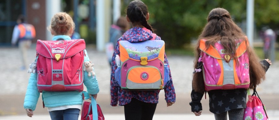 Niemal połowa dzieci w wieku wczesnoszkolnym nosi za ciężkie plecaki - wynika z badania Głównego Inspektora Sanitarnego. W większości przypadków wynikało to z tego, że dzieci noszą w nich nie tylko podręczniki i zeszyty, ale także rzeczy niepotrzebne.