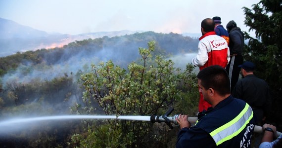 Polak został zatrzymany w pobliżu miasta Bar, na południu Czarnogóry. Dzień wcześniej mężczyzna rozpalił niewielkie ognisko, które spowodowało pożar lasu. Ogień dotarł do pobliskich domów - poinformowała miejscowa policja.