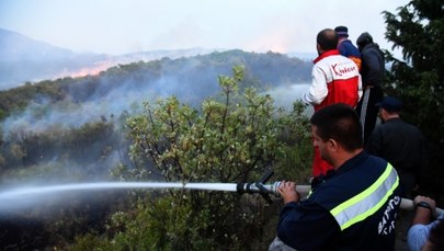 Czarnogóra: Polak zatrzymany w związku z pożarem lasu