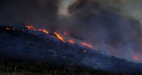 W Kalifornii, przez którą przechodzi fala upałów, szaleją pożary lasów i zarośli. Z obawy przed żywiołem ewakuowano kilkuset mieszkańców północnych przedmieść Los Angeles i zamknięto autostradę.